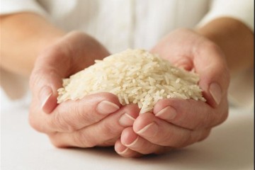 سرمایه گذاری جدید برای صنعتی کردن کشت برنج در کشور