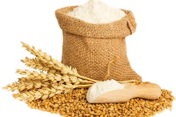 افزایش تولید گندم کیفی به دلیل بارش‌ها