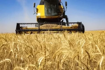 ۶۲ هزار تن گندم از کشاورزان استان سمنان خریداری شد