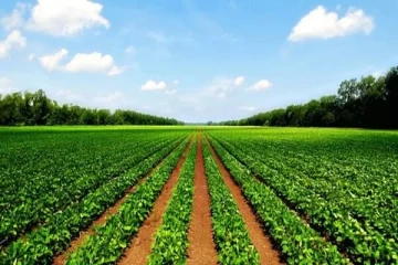 آزادسازی ۱۲ هزار مترمربع اراضی کشاورزی در نیشابور