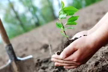 عملیات گودبرداری و آغاز مقدمات کاشت یک میلیارد درخت