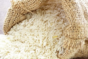 برنج مازاد شالیکاران خریداری می‌شود