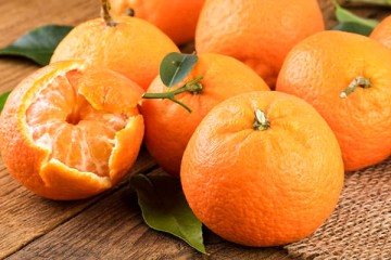 تولید 125 هزار تن نارنگی در ساری