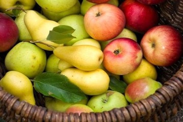 درآمد یک و نیم میلیارد دلاری کشور از صادرات سیب و به و گلابی