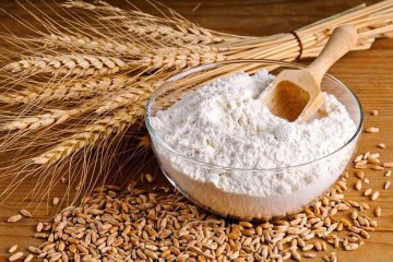 خراسان رضوی مهیای استفاده از استاندار آرد کامل در تولید نان می‌شود