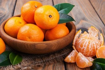 نارنگی مازندران در سبد غذایی روس‌ها