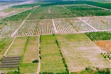 بیش از ۶ میلیون هکتار از اراضی کشاورزی سنددار شدند