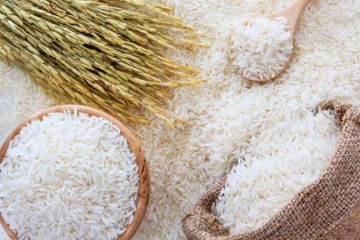 اعلام آمادگی واردکنندگان برنج برای صادرات برنج باکیفیت ایرانی