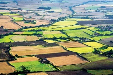بیش از ۴۰ درصد اراضی کشاورزی سنددار شده است