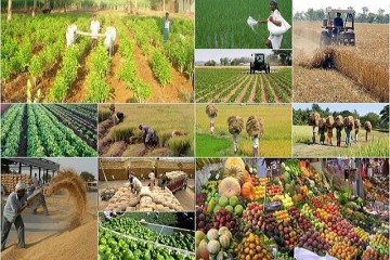 صادرات ۴.۸ میلیارد دلاری محصولات کشاورزی