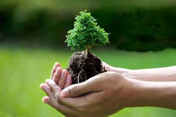 استفاده از ظرفیت صنایع در اجرای طرح مردمی کاشت یک میلیارد درخت