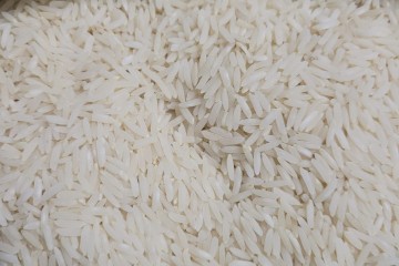 برای تنظیم بازار برنج، واردات بی رویه راهکار مناسبی نیست
