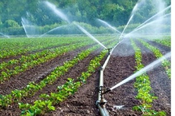 هدفگذاری کاهش مصرف آب بخش کشاورزی در سند امنیت غذایی