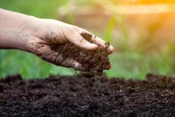 مدیریت «سلامت خاک» چگونه انجام می‌شود؟