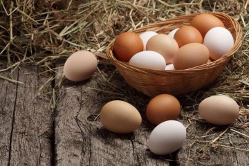 از ابتدای سال ۴۰ هزار تن تخم مرغ صادر شده است