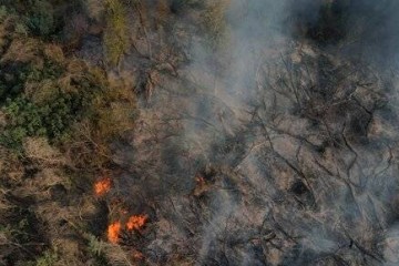یک تفکر غلط سبب آتش سوزی در جنگل های پلدختر شد