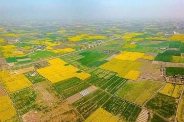 شناسایی ۶۸۷ مورد تغییر کاربری غیرمجاز در اراضی کشاورزی خوزستان
