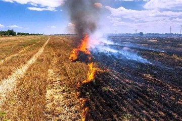 پافشاری کشاورزان بر یک سنت غلط | سوزاندن سرمایه ملی