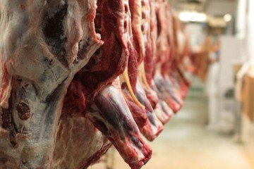 مشکلی برای واردات ۱۵ هزار تن گوشت قرمز موجود در بنادر وجود ندارد