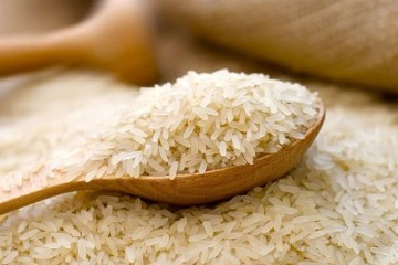 امیدواری شالیکاران به قطع دست دلالان از زنجیره تولید برنج