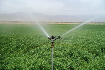 برگزاری چهارمین جلسه شورای هماهنگی و تلفیق سرشماری عمومی کشاورزی