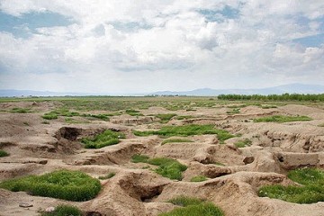 ۱۸۰ دشت کشور مشمول تعدیل پروانه بهره‌برداری چاه‌های کشاورزی شدند