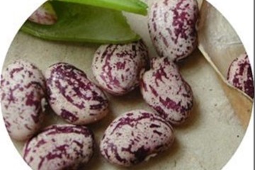 بازار حبوبات یله شد