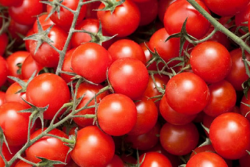 مصرف گوجه‌فرنگی می‌تواند جلوی افزایش وزن را بگیرد
