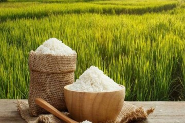 نابه‌سامانی شدید در بازار برنج | خطر مسمومیت با برنج برای مصرف کنندگان