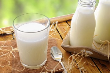 شیر هم رفت!