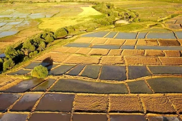 خبر خوش وزیر دادگستری برای کشاورزان؛ زمین‌های خرد هم سند رسمی می‌گیرند