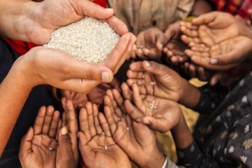 آموزش فناوری کشاورزی؛ تضمین کننده امنیت غذایی
