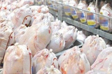 کاهش ۴ درصدی عرضه گوشت طیور در فروردین ۱۴۰۴