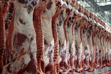 توزیع گوشت قرمز طبق روند روزانه در حال انجام است