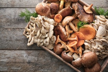 هموطنان از مصرف قارچ‌های وحشی خودداری کنند