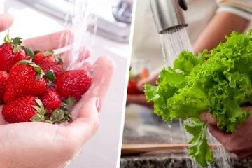 اشتباهات خطرناک در شستن سبزیجات/ روش طلایی ضدعفونی سبزیجات با مواد خونگی