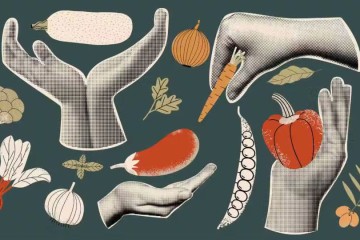 ۱۵ میوه و سبزیجاتی که اغلب میخورید ولی نمیدانستید ساخته دست بشر هستند