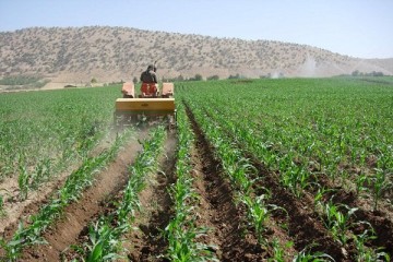 وضعیت بهره‌مندی برخی استان‌ها از ماشین‌آلات کشاورزی نامطلوب است
