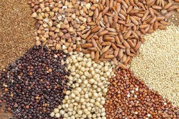 عدم تخصیص ارز به نهاده‌های دامی از ۸ ماه گذشت