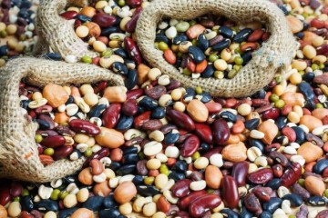 صادرات حبوبات ممنوع شد