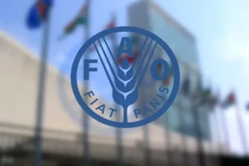 فائو ۴ نظام میراث کشاورزی مهم جهانی را ثبت کرد