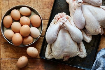 ارزآوری با ضایعات کشتارگاه به کمک فناوری