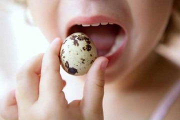 ۱۰ خاصیت فوق العاده تخم بلدرچین برای کودکان