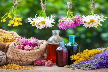 قم به قطب فعالیت‌های علمی در حوزه گیاهان دارویی تبدیل می‌شود