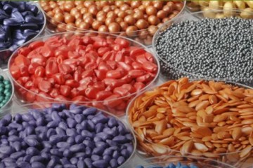 همکاری تات با دانش بینان‌ها در تولید بذر هیبریدی