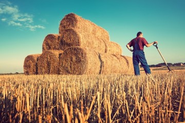 گندم‌کاران ۷.۵ میلیون تن گندم تحویل دولت دادند