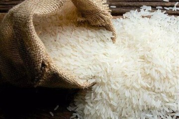 خبر کمبود برنج تکذیب می شود