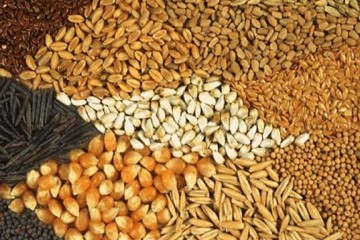 نهاده های دامی در بازارگاه عرضه نمی شود