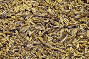 نقش عوامل اقتصادی در تولید و فرآوری زیره سبز