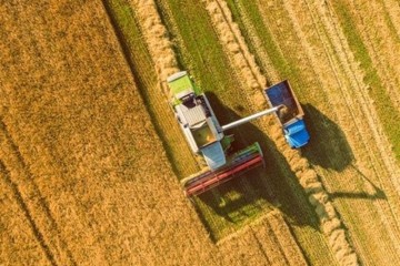 ۶۵ درصد اراضی کشاورزی کشور در تصرف یک محصول+ نمودار